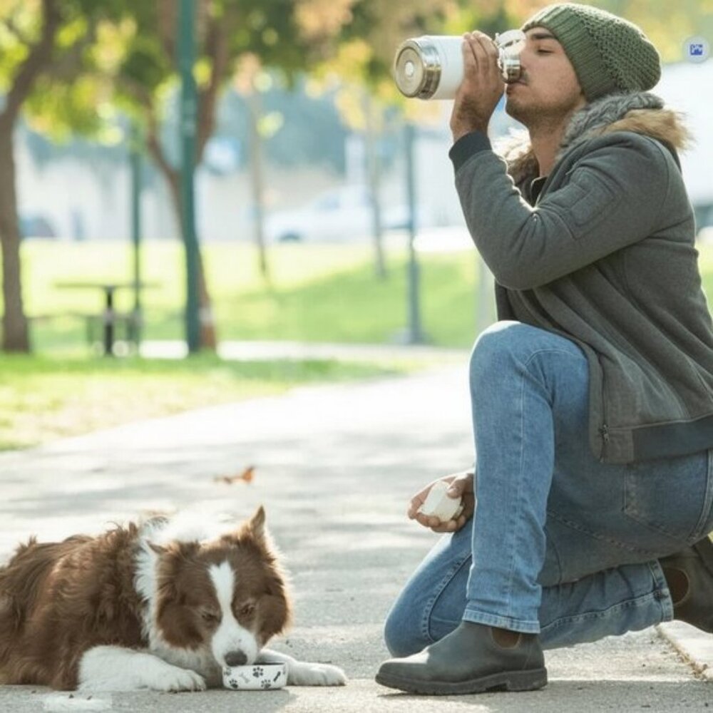Pet Bowl Attached to Stainless Steel Insulated Travel Water Bottle 33 Ounceblack - Picture 2 of 4
